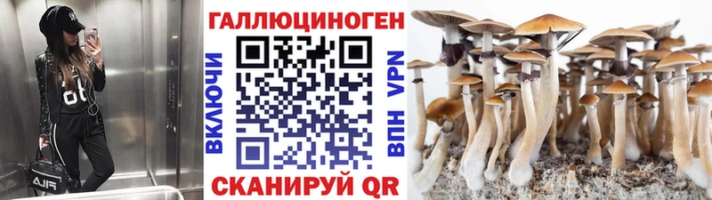 Галлюциногенные грибы прущие грибы  Сольцы 